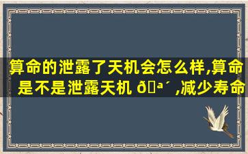 算命的泄露了天机会怎么样,算命是不是泄露天机 🪴 ,减少寿命